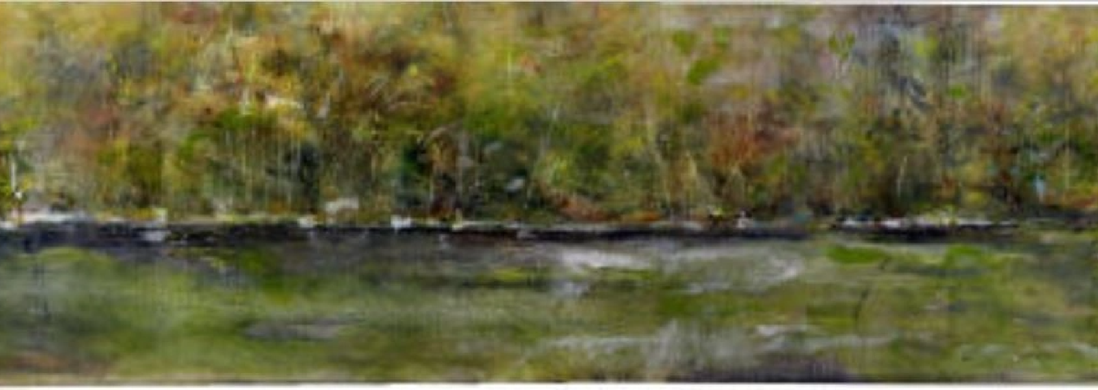 Adirondack Region