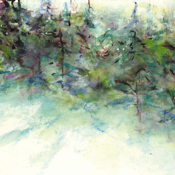 sun and pineswinter trees