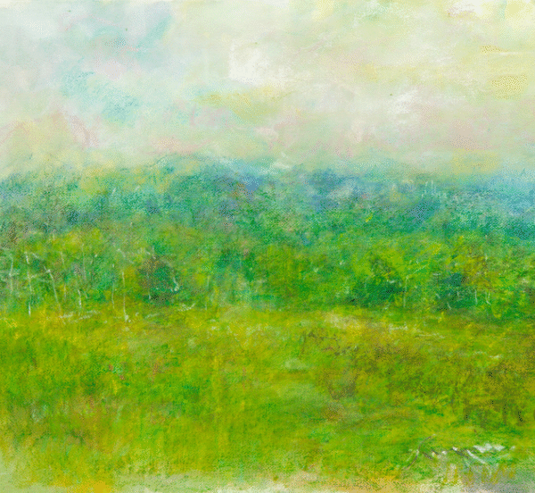 Summer Field Adk $1,200