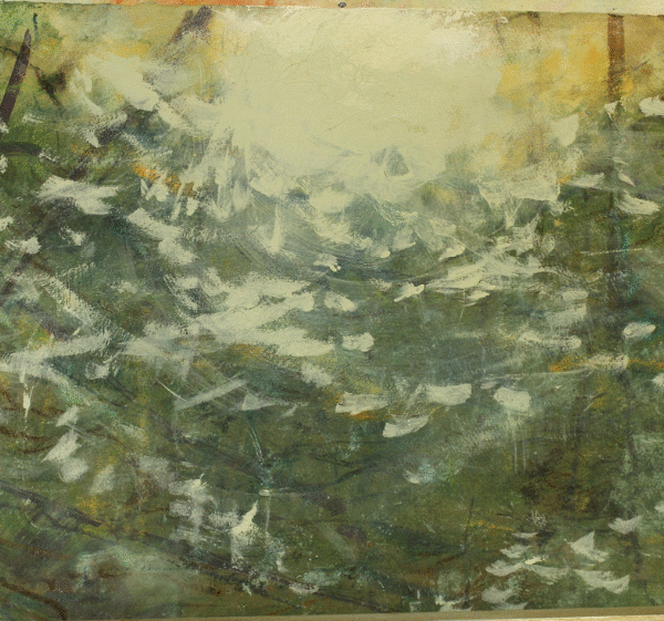 Trees Aspen Colorado (2)