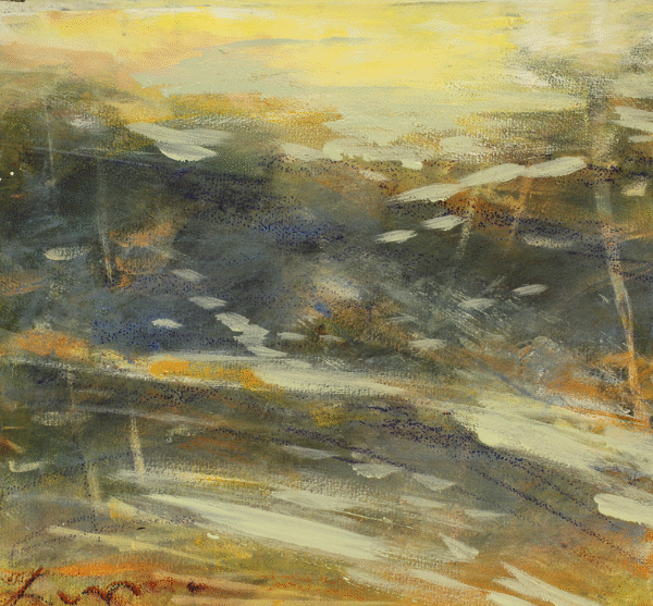 Trees Aspen Colorado