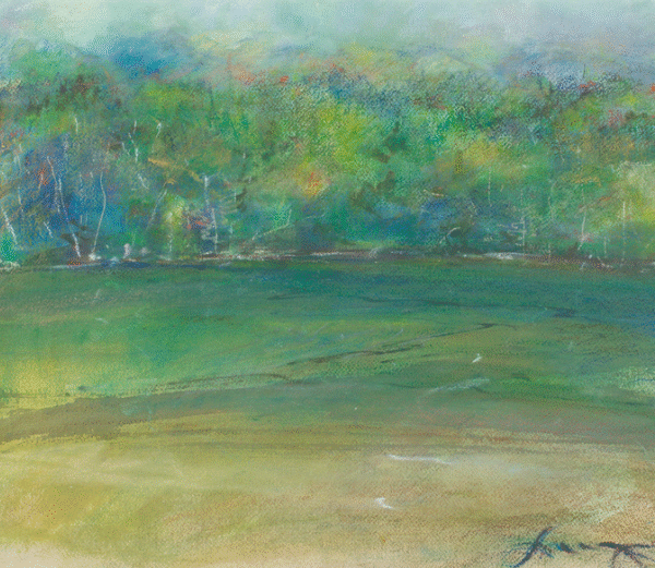 chapel lake ,adirondack park