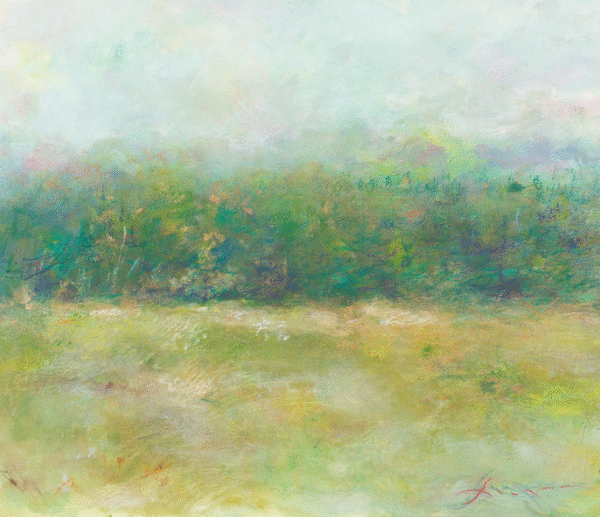 lake placid ,lodge road view