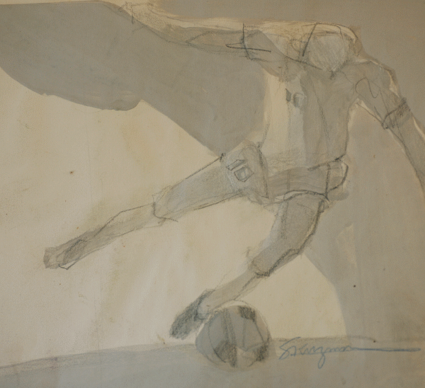 soccer,world cup soccer, Sports Pages Childrens Bookillustrations ,nasl