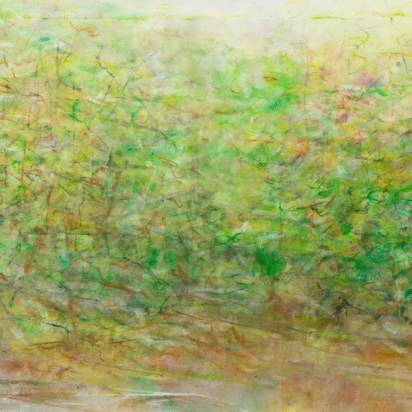 Adirondack Forest Spring original pastel watercoloR