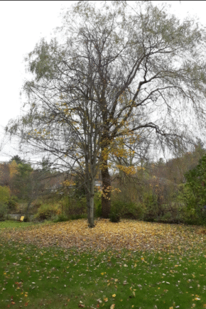 Wolf Kahn studios Vermont Studio center