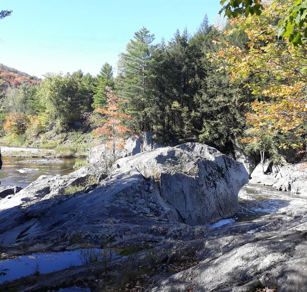 Oil Pastel paintings"20x30"from Vermont residency 2019