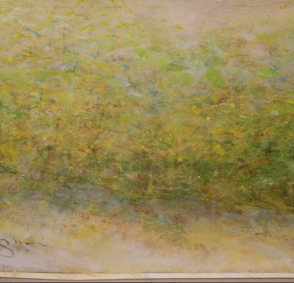 forest in byrdcliffe woodstock