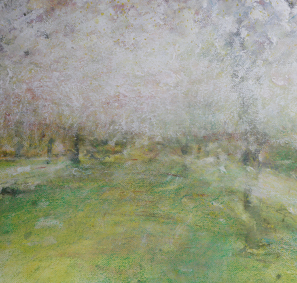 spring cherry blossoms