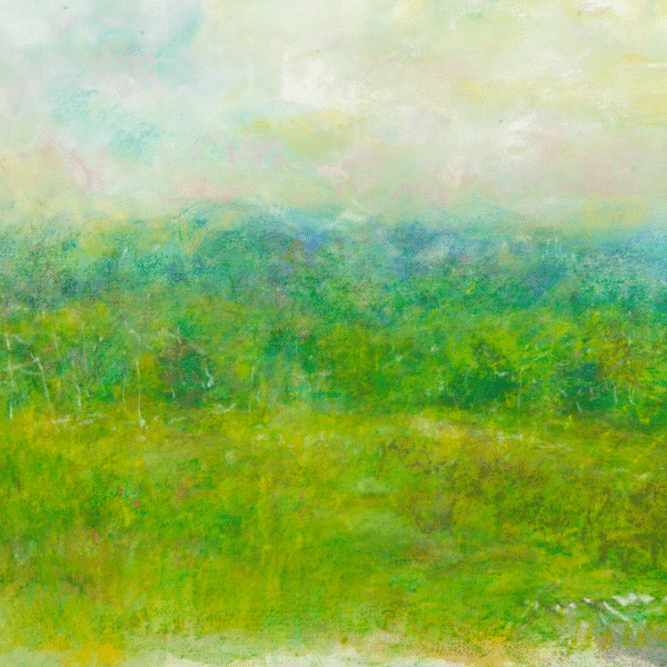 Summer Field Adk $1,200