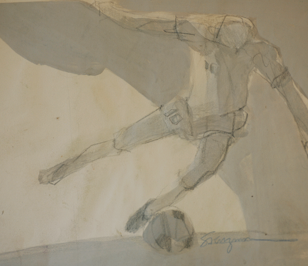 soccer,world cup soccer, Sports Pages Childrens Bookillustrations ,nasl